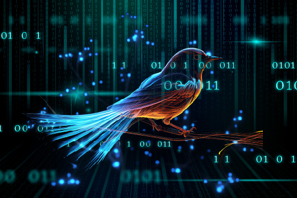 Raspberry Robin Exploits New One-Day Vulnerabilities, Enhancing Stealth and Persistence