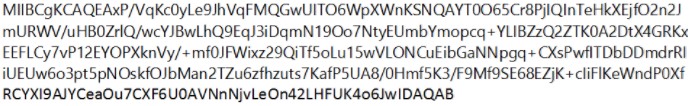 RSA public key used to encrypt the file encryption keys