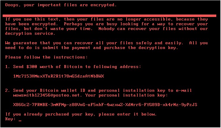 Petya Ransomware Attack PoC