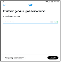 Password window