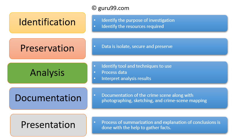 Figure 2 - Computer Forensics